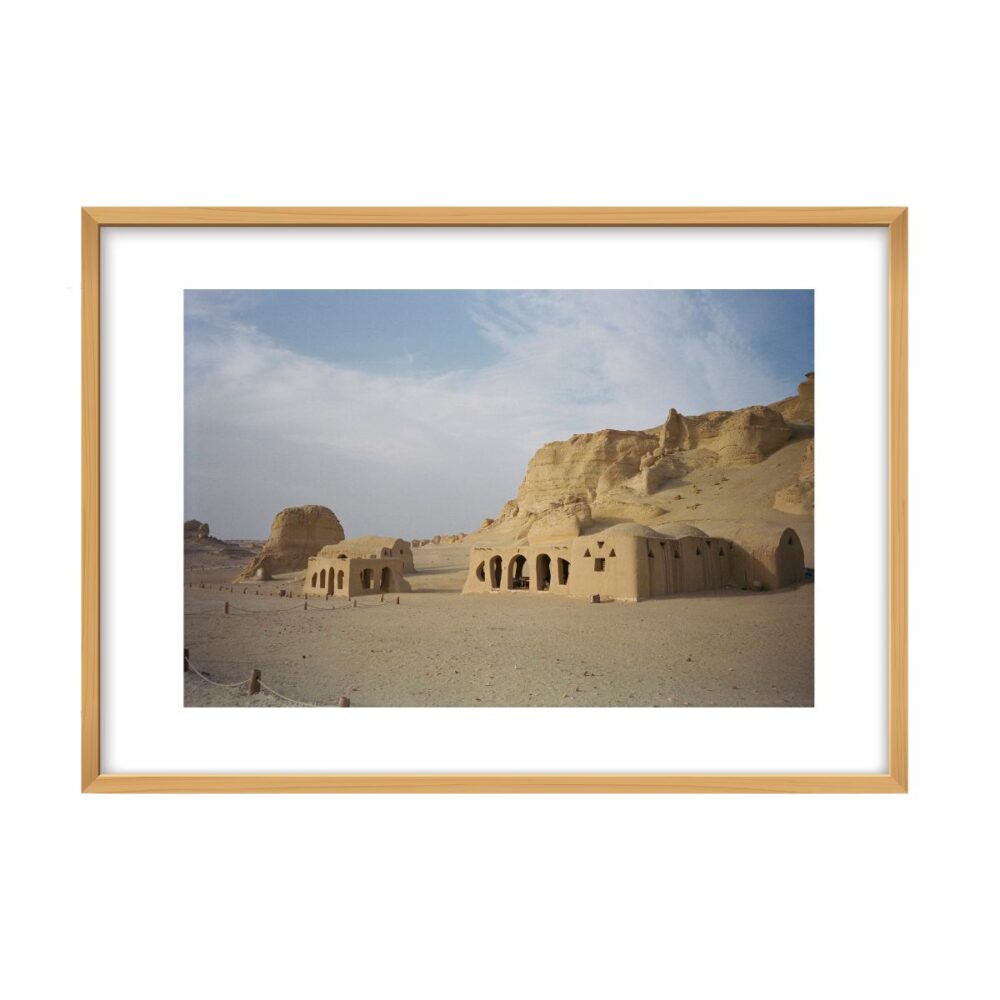 Desert wales 