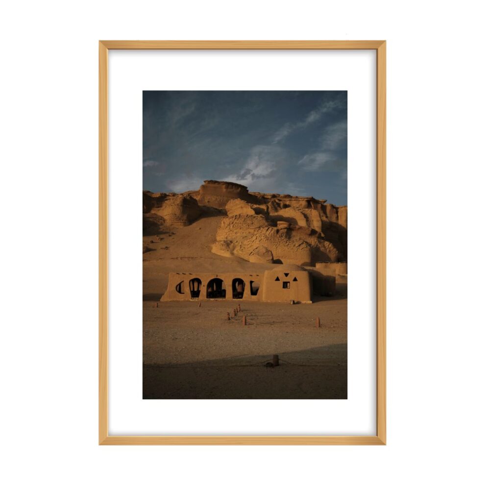 Desert wales 1