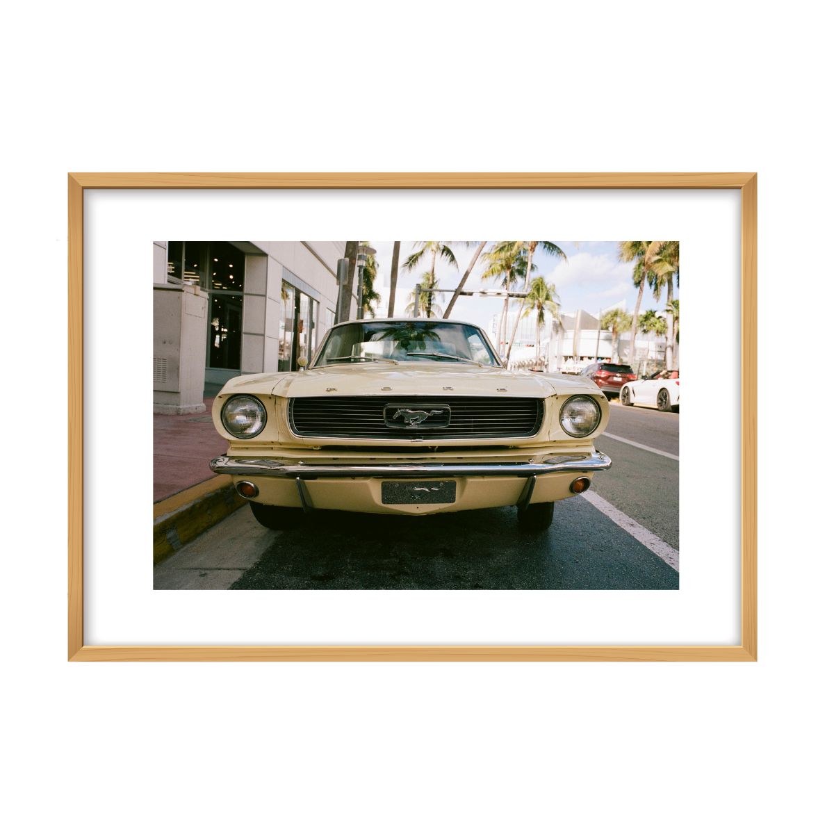 Mustang